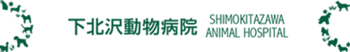 下北沢動物病院