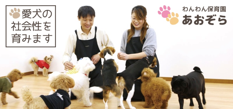 わんわん保育園あおぞら