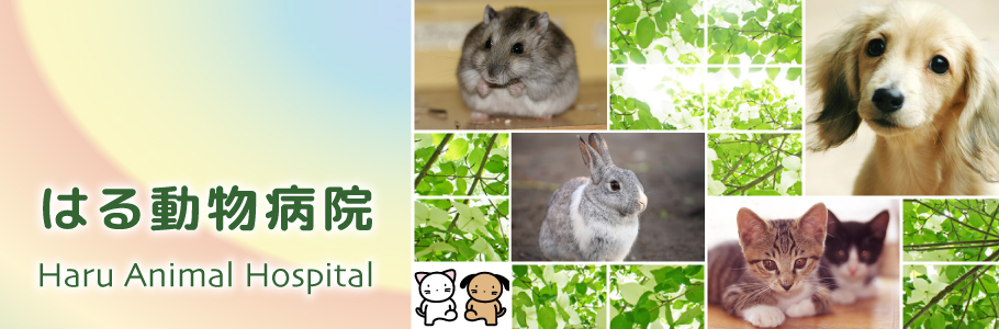 はる動物病院