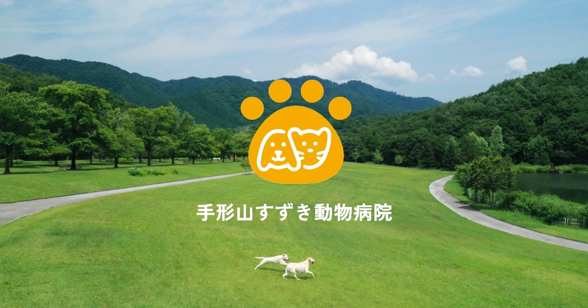 手形山すずき動物病院