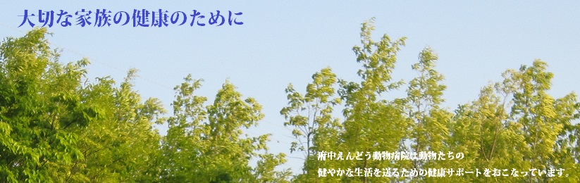 府中えんどう動物病院