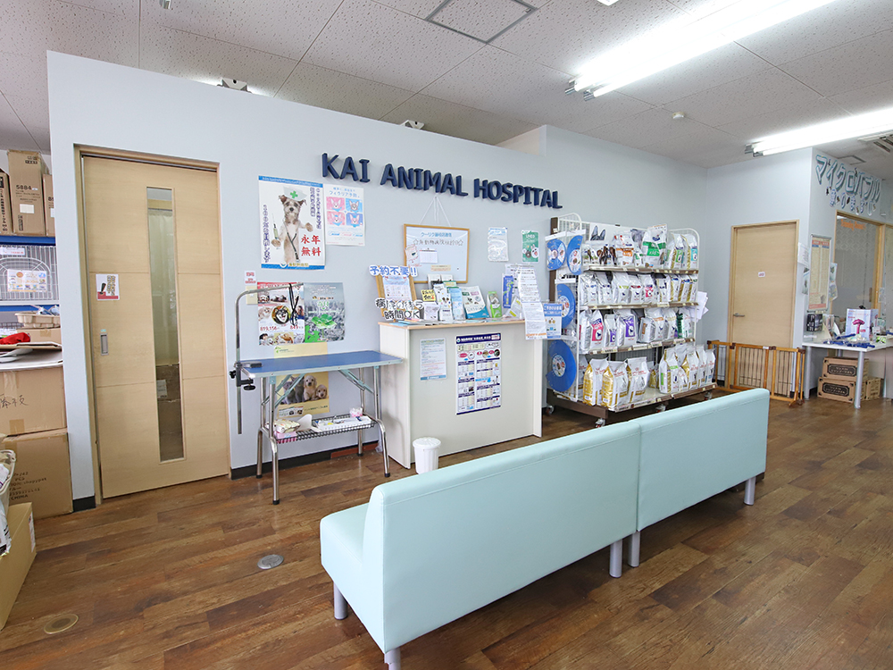 海動物病院　藤枝往診所