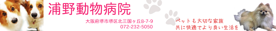 浦野動物病院