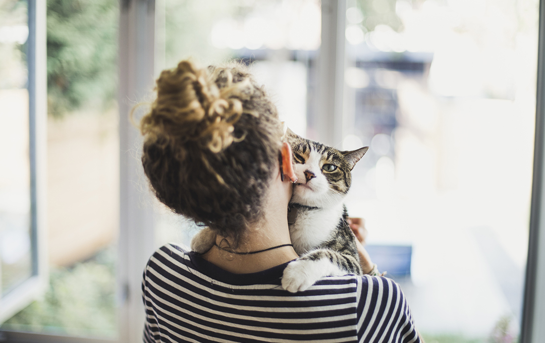 なみきアニマルホスピタル