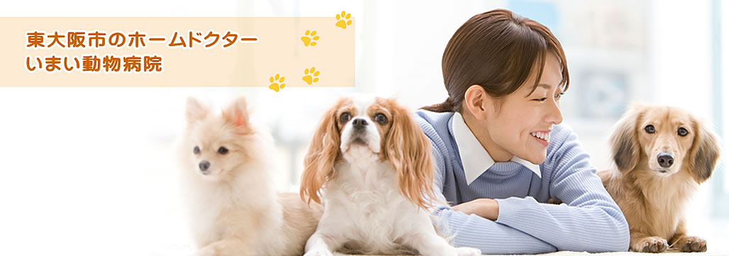 いまい動物病院