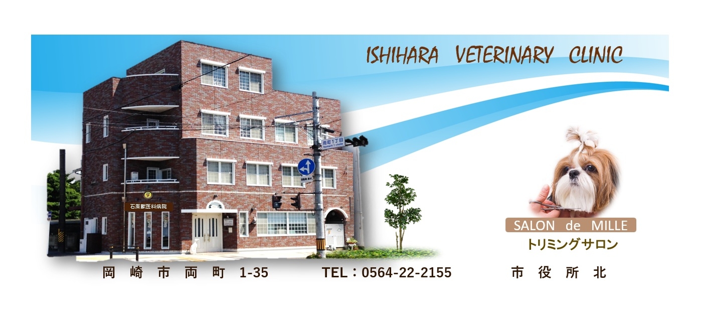 石原獣医科病院