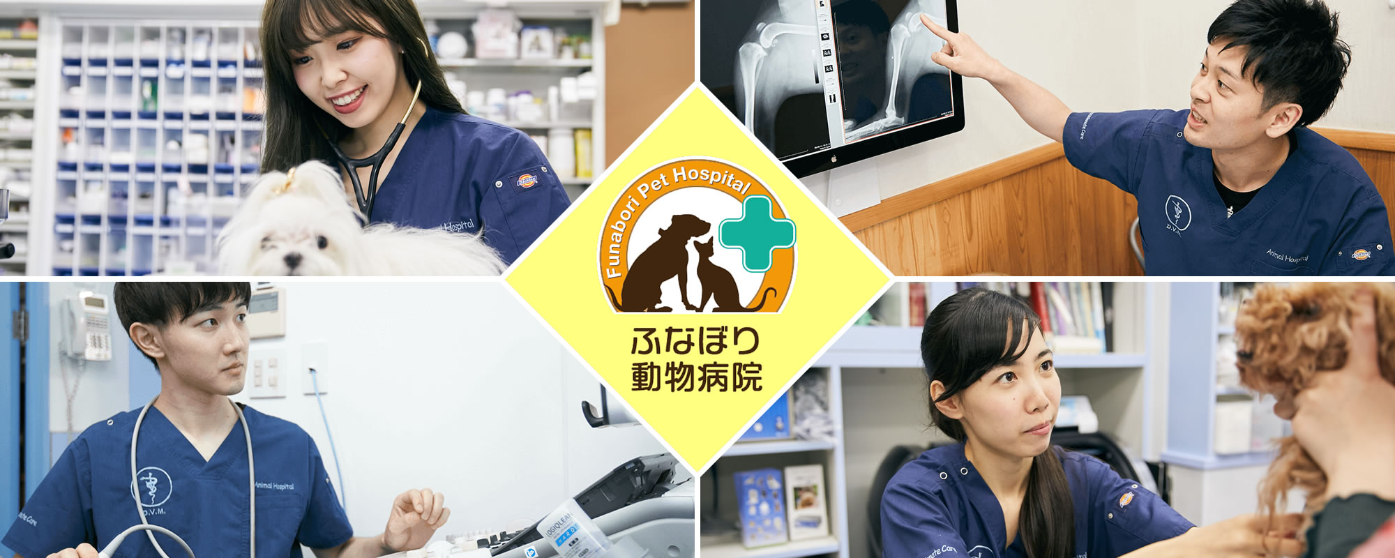 ふなぼり動物病院