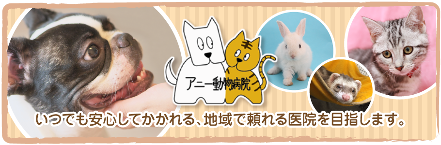 アニー動物病院
