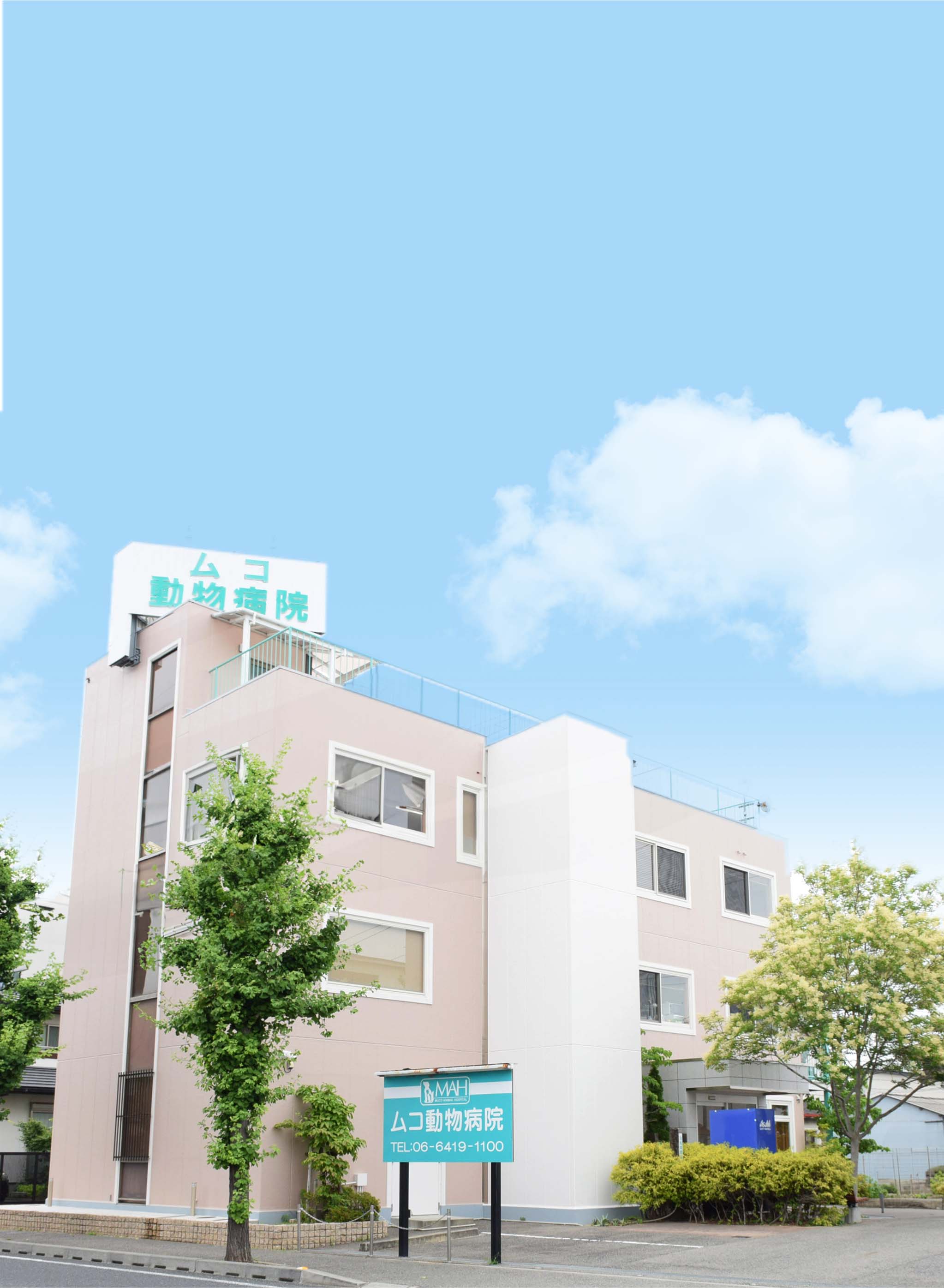 ムコ動物病院