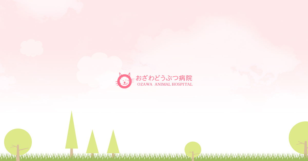 おざわどうぶつ病院