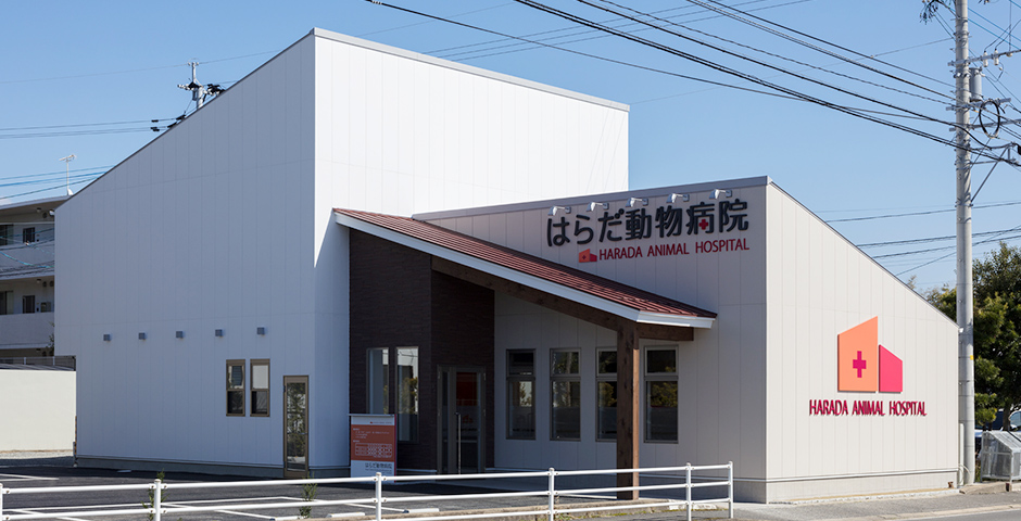 はらだ動物病院