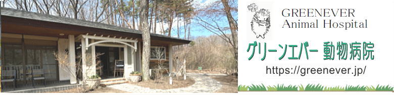 グリーンエバー動物病院