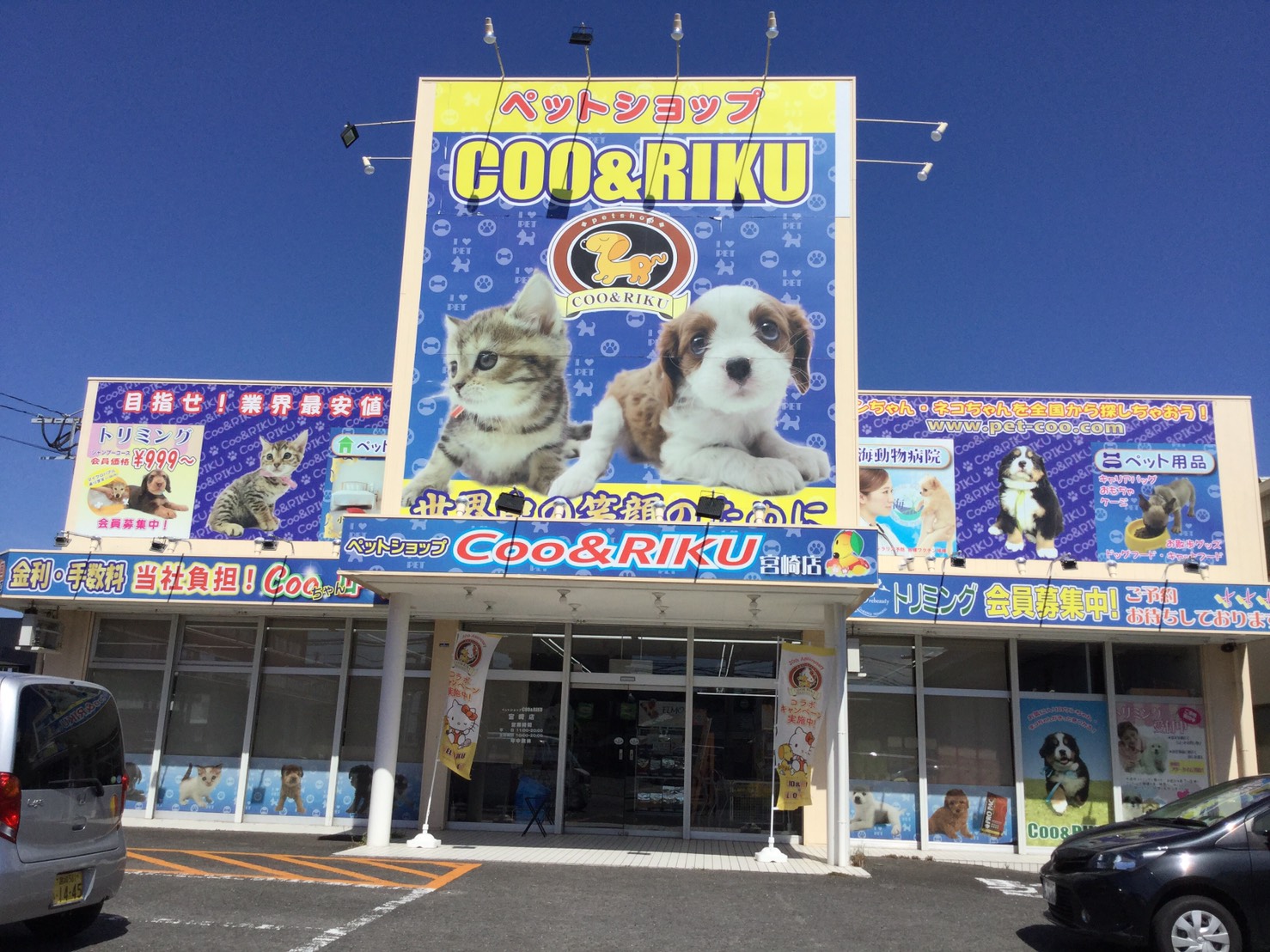 海動物病院　宮崎往診所