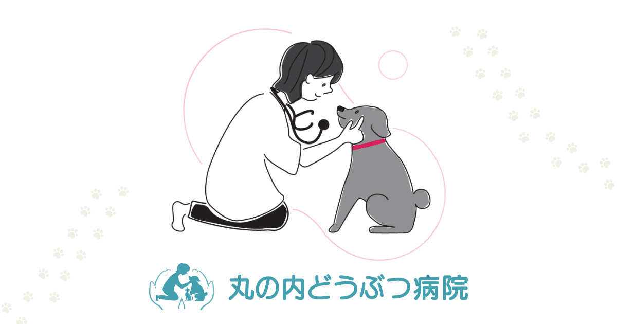 丸の内どうぶつ病院