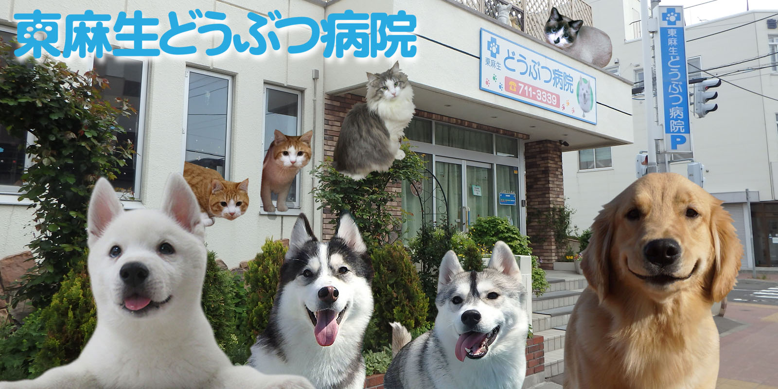 東麻生どうぶつ病院