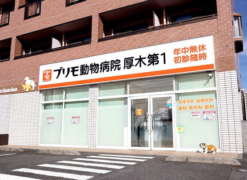 プリモ動物病院 厚木第1