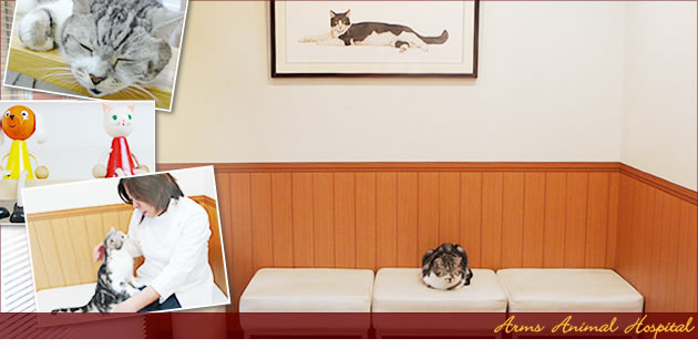アームズ動物病院