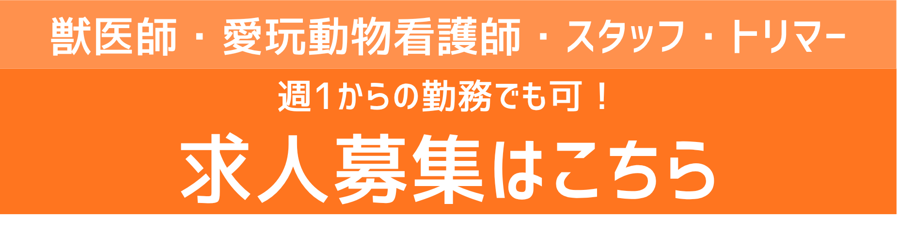 のづた動物病院