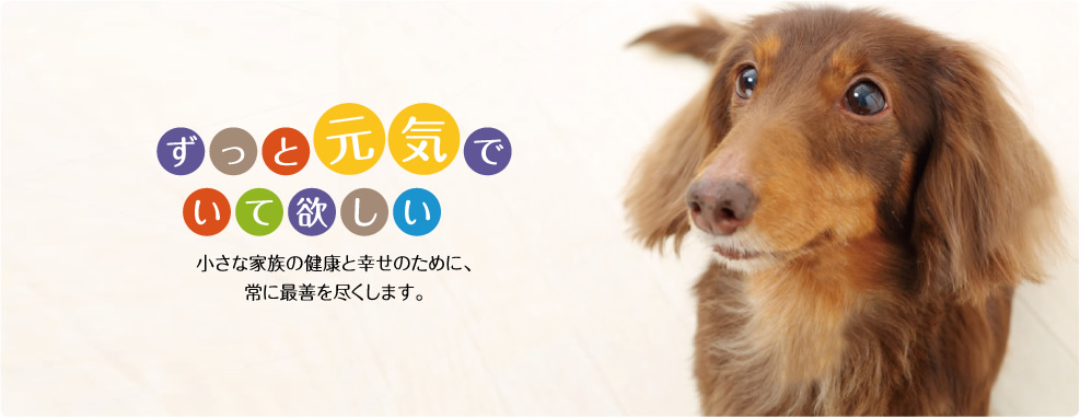 ハートン動物病院