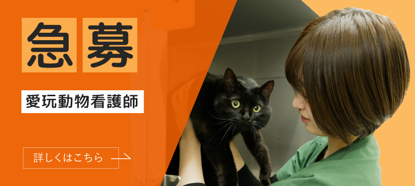 千音寺ペットクリニック