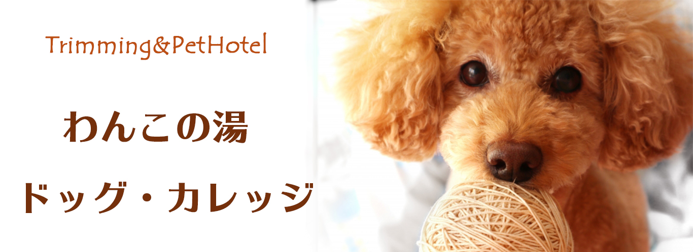 わんこの湯　ドッグ・カレッジ