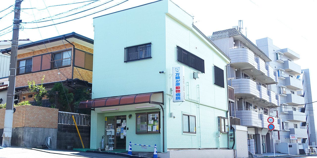 万騎が原動物病院