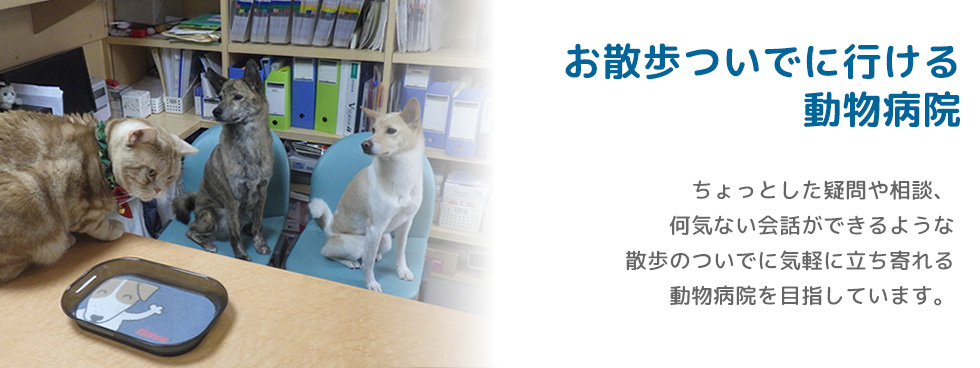 天王寺どうぶつ病院