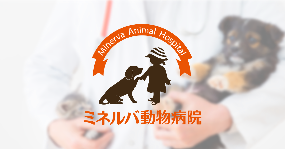 ミネルバ動物病院