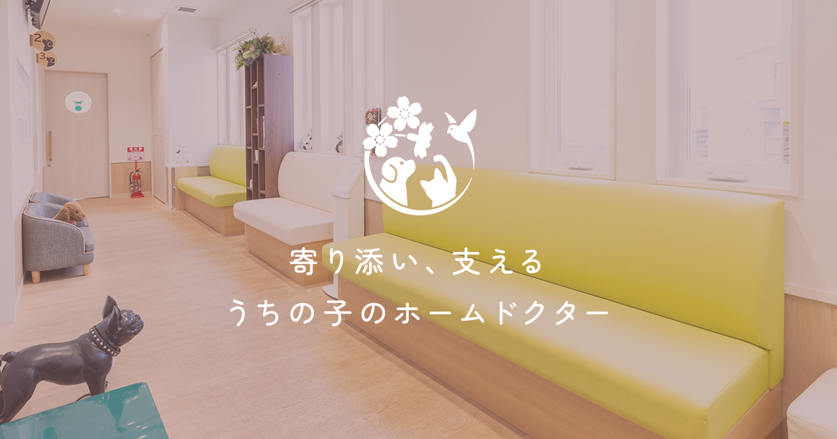 アニモ動物クリニック