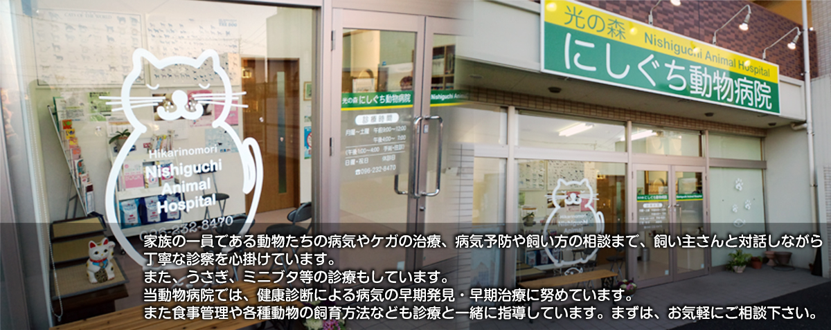 光の森にしぐち動物病院