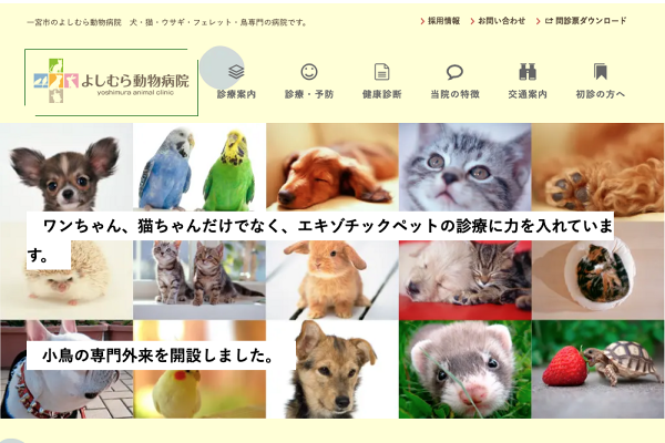 よしむら動物病院