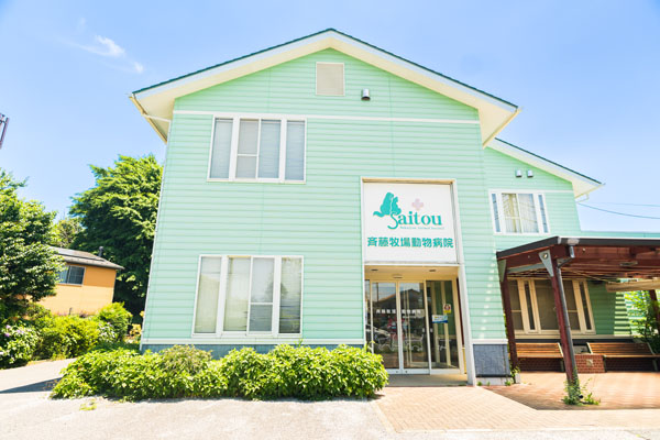 斉藤牧場動物病院