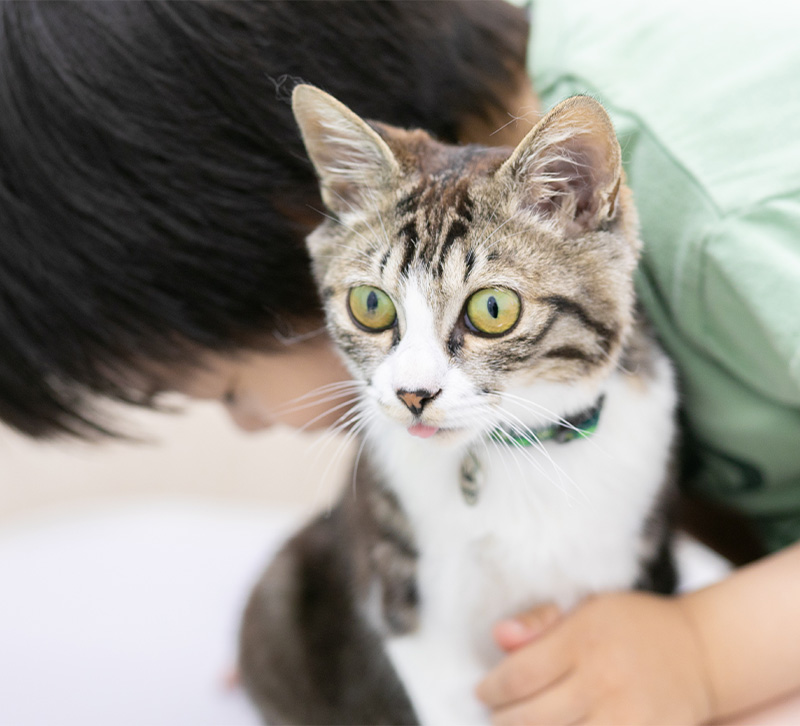 神西ペットクリニック