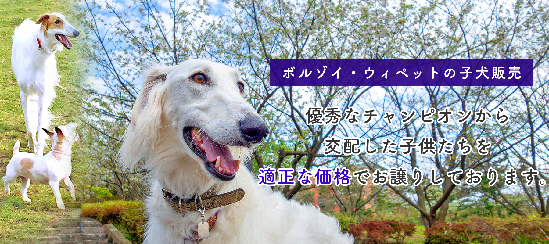 ドッグリゾート成田