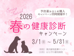 海浜動物医療センター