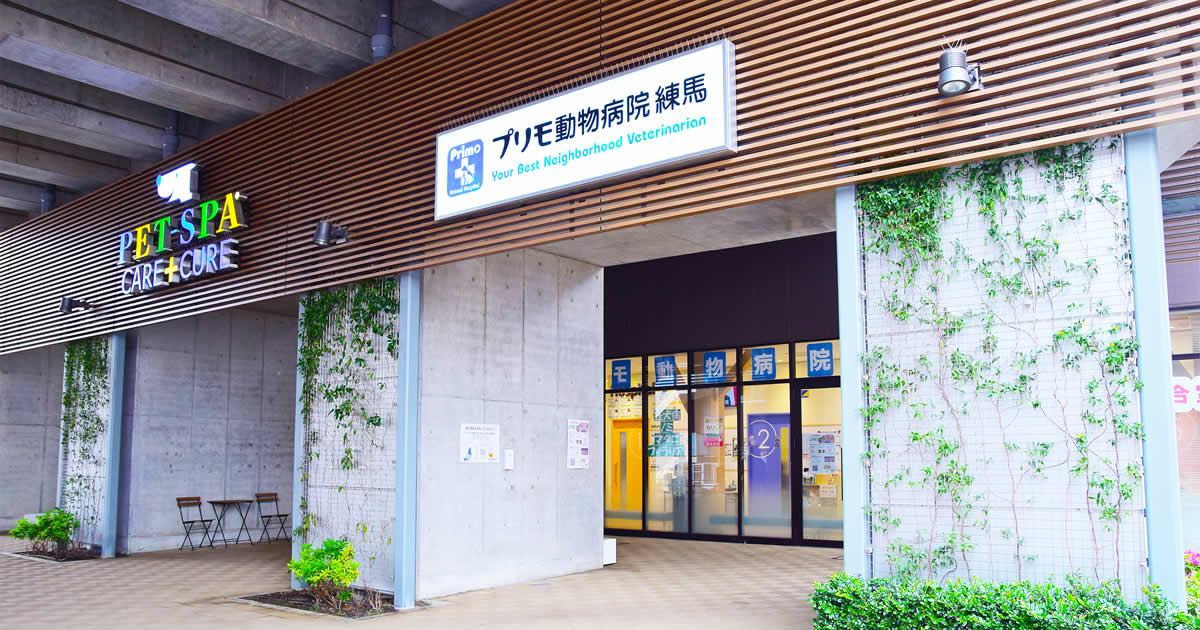 プリモ動物病院 練馬
