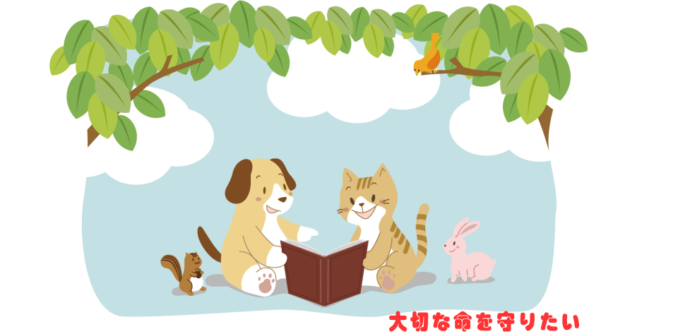 おおしお動物病院