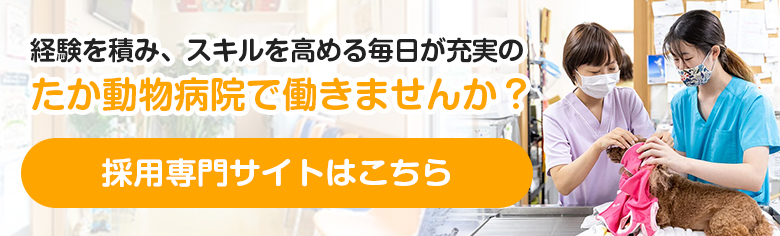 たか動物病院