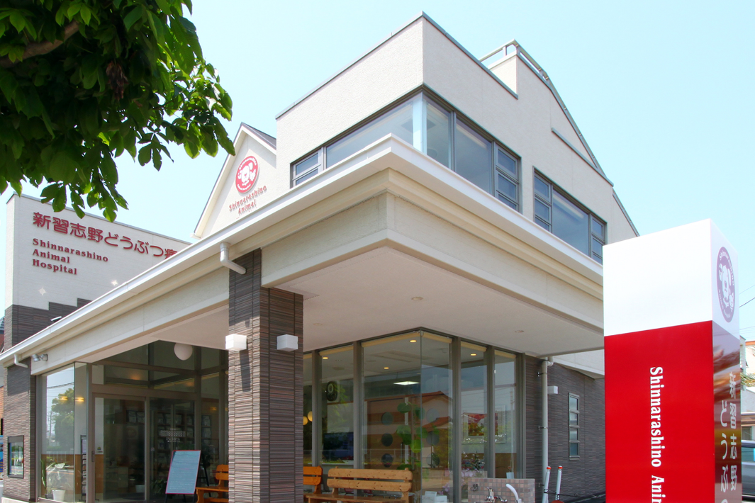 新習志野どうぶつ病院