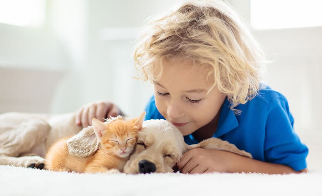 はせ犬と猫の病院