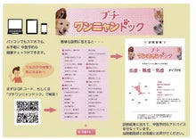 キクチ動物病院