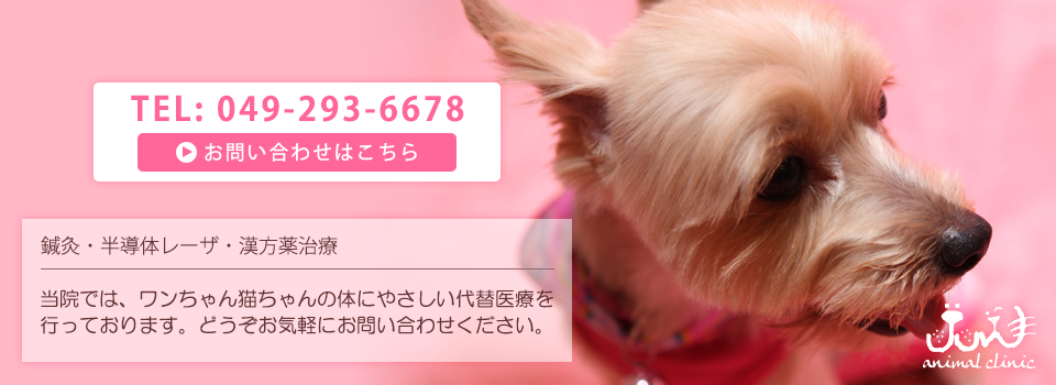 じゅん動物クリニック