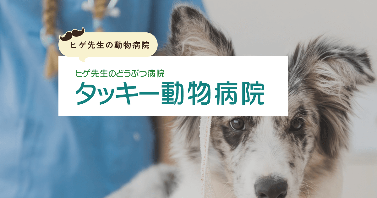 タッキー動物病院