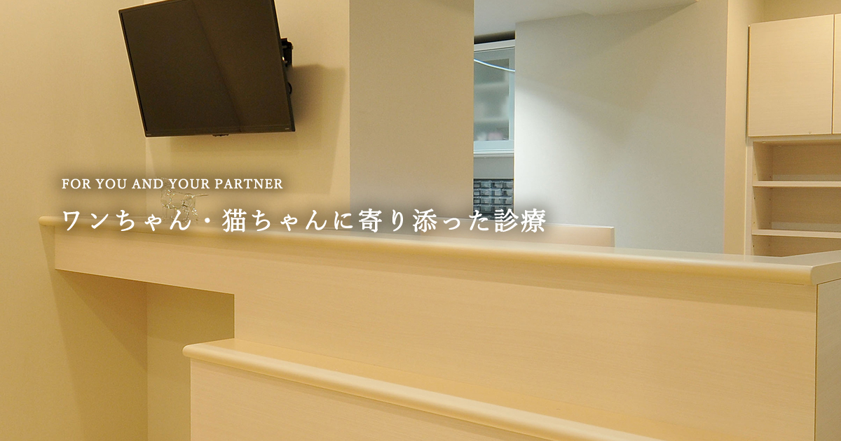 プリべ動物病院 名古屋分院