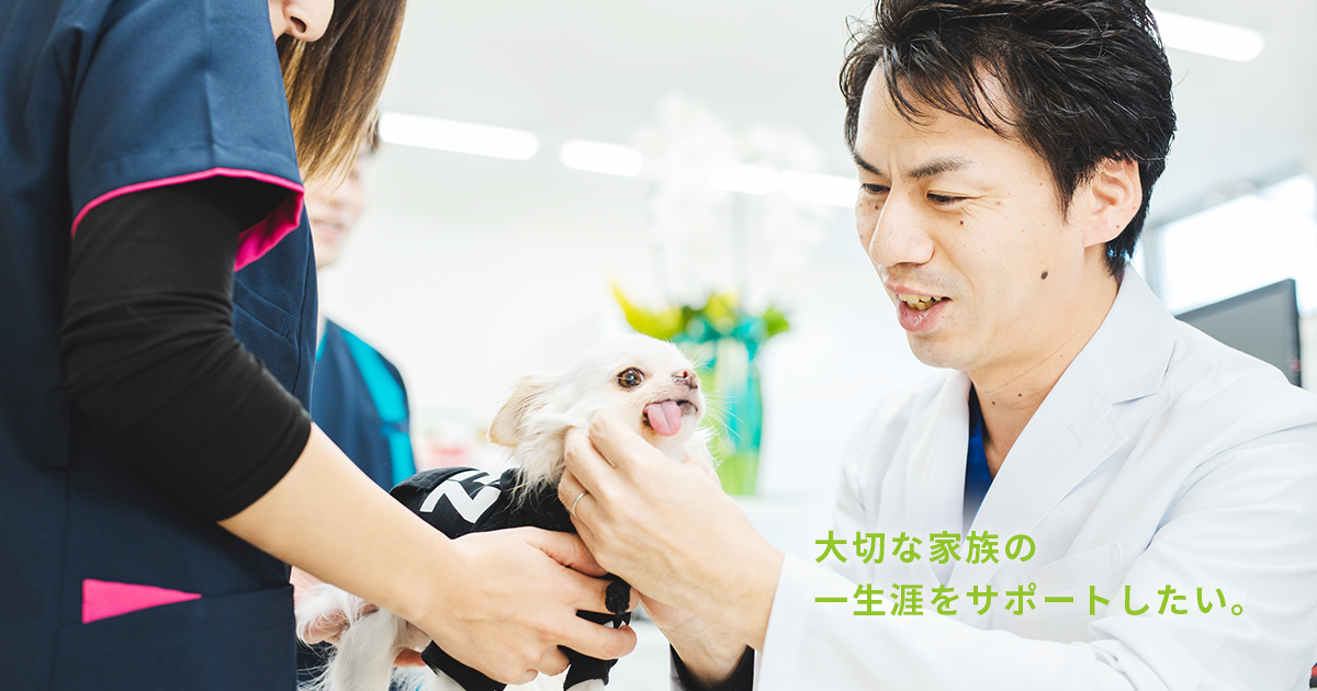 ふじの動物病院