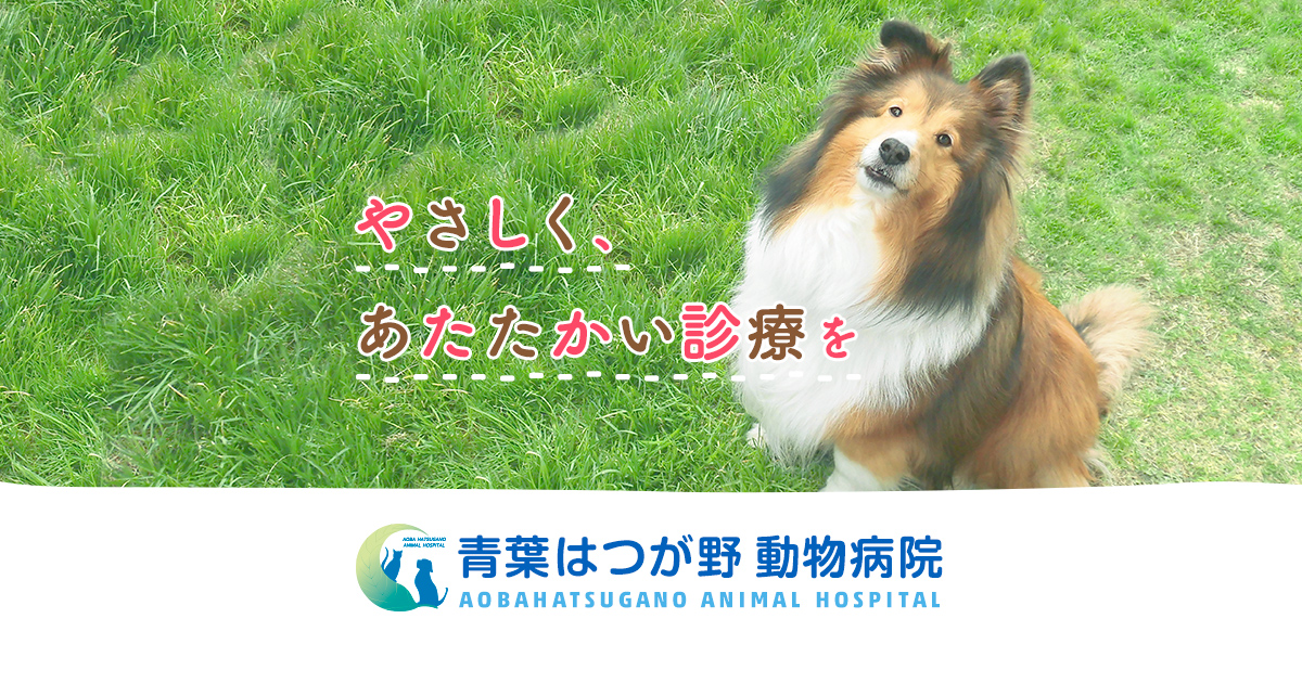 青葉はつが野動物病院