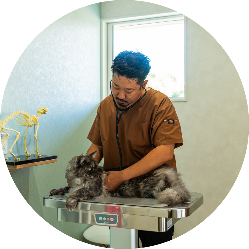 けい犬猫クリニック