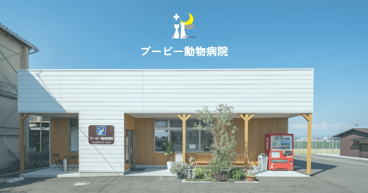 ブービー動物病院