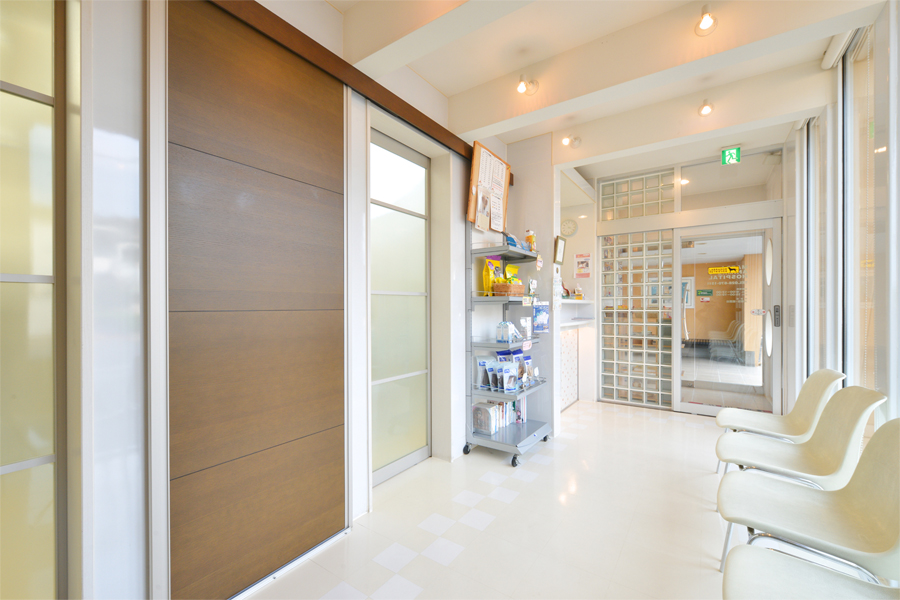 前田どうぶつ病院