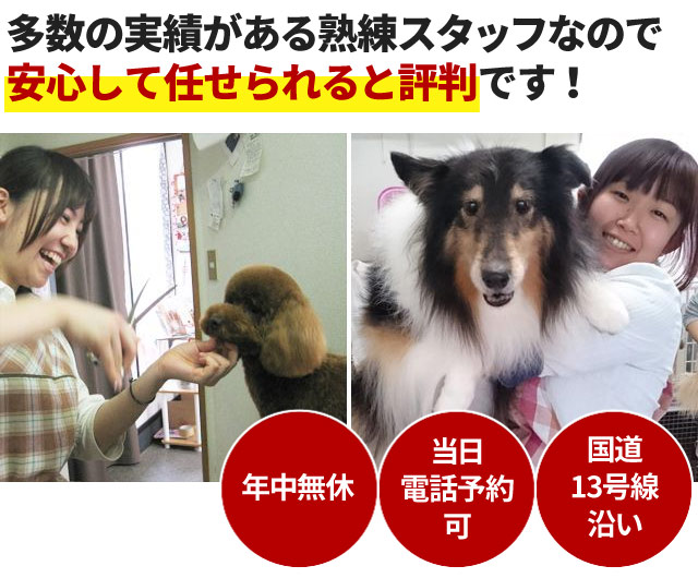 わんニャンシャンプー